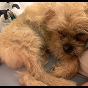 Meet your Posher, Nicki